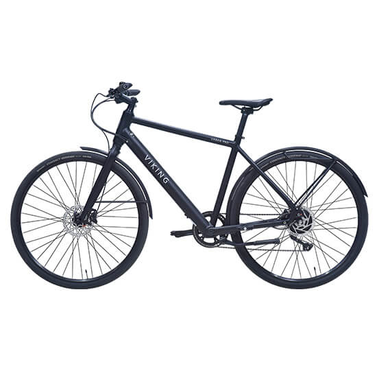 Viking evolution electric discount bike